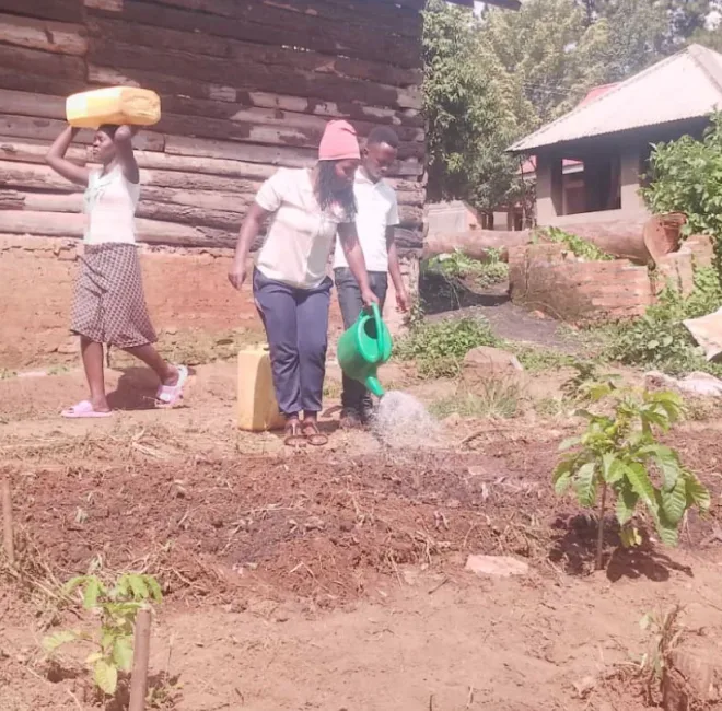 Building-a-sustainable-farming-backround-starts-here