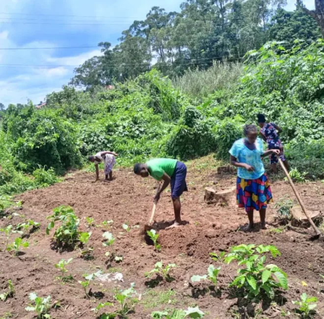 Youth-out-of-school-attend-farming-lessons-at-Golden-treasure school