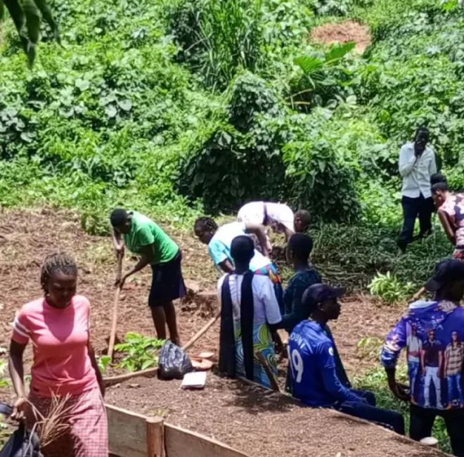 Youth-out-of-school-attend-farming-lessons-at-Golden-treasure school