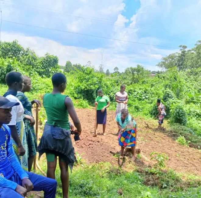 Youth-out-of-school-attend-farming-lessons-at-Golden-treasure school